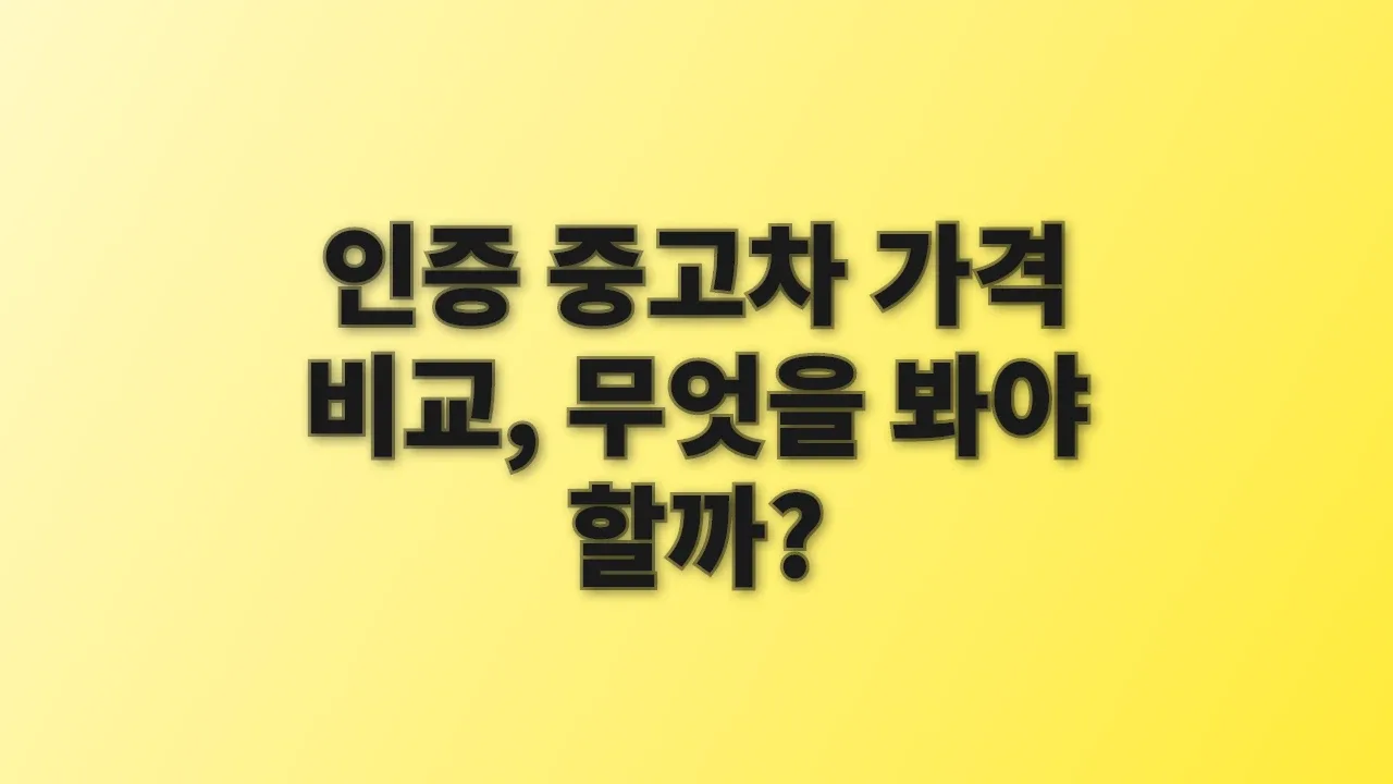 인증 중고차 가격 비교, 무엇을 봐야 할까?